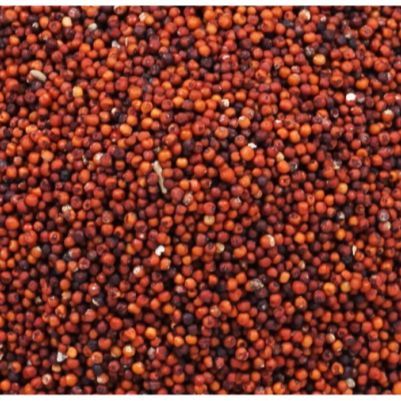 Finger%20Millet%20(Kurakkan)%20%7C%20Unpolished%20Finger%20Millet%20(%E0%AE%95%E0%AF%81%E0%AE%B0%E0%AE%95%E0%AF%8D%E0%AE%95%E0%AE%A9%E0%AF%8D)%20-%201Kg%20-%20Image%202