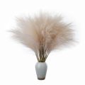 Natural Fake Wedding Decor For Home Decoration Bedroom Plante Artificial Flower Pampas Grass Fake Flowers Artificial Reed. 