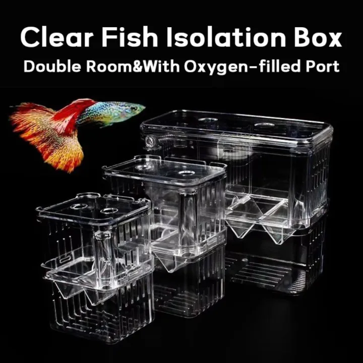 Durable Plastic Fish Isolation Box Double Room with Oxygen-filled Port ...