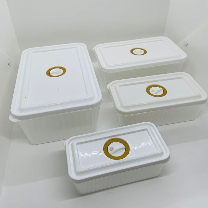 4 pcs Rectangle Frosted storage boxes/Rectangle Storage Boxes/Food ...