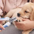 Professional Pet Nail Clippers Dog Cat Stainless Steel Two color Labor-Saving Nail Clippers Convenient Beauty Cleaning Supplies. 
