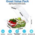 25 Pieces Clear Transparent Hinged Plastic Container Disposable Single Compartment Take Out Togo Boxes For Multi Purpose Usage Boxes 13x13cm. 