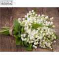 DIY Diamond Embroidery Lily of the valley Decorative Pictures of Rhinestones Hobbies Crafts Wedding LK1. 