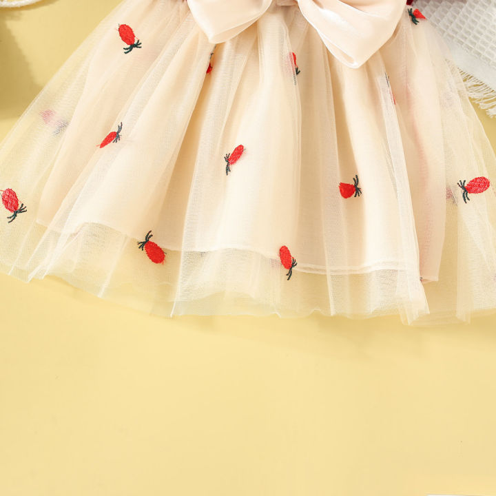 Summer%20Flower%20Girl%20Short%20Sleeve%20Dress%20Pineapple%20Embroidery%20Mesh%20Baby%20Princess%20Dress%20Girl%20Clothing%20-%20Image%207
