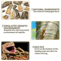 Natural Cork Bark for Tarantula Hideout Reptile Terrarium Climb Platform Tree Bark Background. 