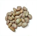 Jackfruit seeds 500g. 