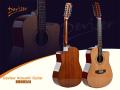 Deviser 12 String Semi Acoustic Guitars. 