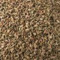 Asamodagam Seeds Trachyspermum roxburghianum අසමෝදගම් බීජ 1g. 