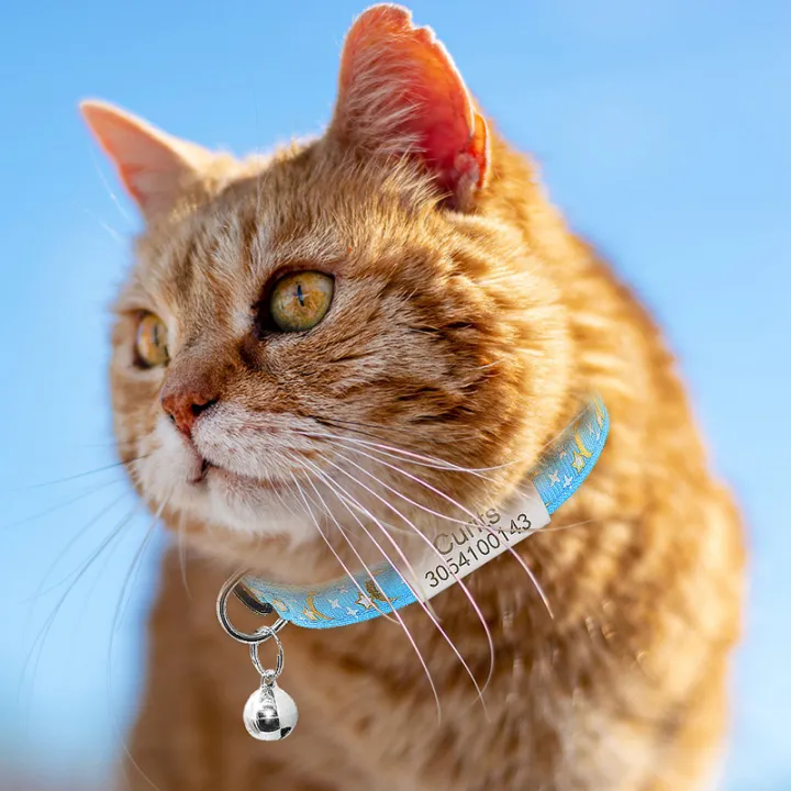 Personalized%20Cute%20Cat%20Collar%20Name%20Tag%20Custom%20Nameplate%20Safety%20Breakaway%20Star%20Moon%20Bowknot%20Cat%20Collar%20Bell%20Necklace%20-%20Image%206