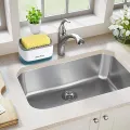 Kitchen Dish SOAP (ksd) Dispenser and Sponge Holder, 2-in-1 Dishwashing SOAP Pump Dispenser for Kitchen Sink. 