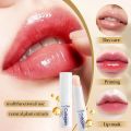 Fifty percent discount 2.7g Aloe Vera Coconut Lip Balm Lasting Nourishment And Moisture For Men And Women Daily Care Collagen Lip Balm Lip Care. 