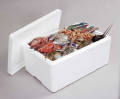 RIGIFOAM COOL BOX 18 1/4"X 15 3/4"X13 l NISACO MALL. 