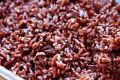 PACHCHAPERUMAL PACHCHAPERUMAL RICE RED RICE TRADITIONAL 100% ORGANIC RICE MEDICINAL RICE SRI LANKA 1KG. 