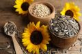 100% Organic Sun Flower Seeds Ready to Eat Raw without Shell 100g. 