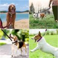 Dog Leash with Adjustable Collar Dog Leash for Walking, Running, Hiking, Nylon Rope Braided Dog Training Leash. 