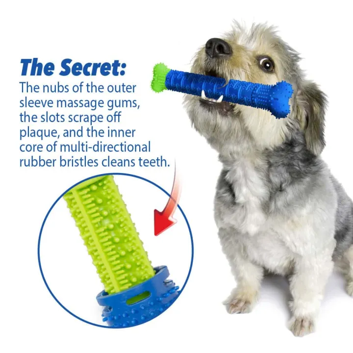 Chewbrush%E2%84%A2%20Self-Brushing%20Toothbrush%20for%20Dogs%20-%20Image%205
