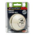 Speed Up Cricket Season Ball - White. 