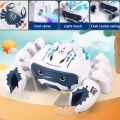 Mechanical Crawling Crab Toys with Spray Mist Smoke - Interactive Kids Toys with Lights & Music, Escaping Crab Dog Cat Pet Toy. 