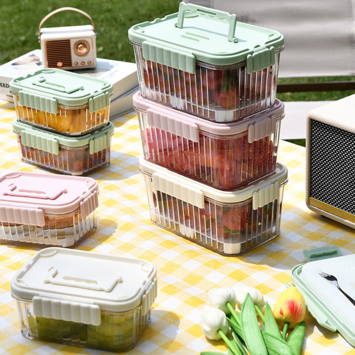 ECHIDNA Food Storage Box Reusable Food Cooler Box Lunch Container