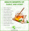 Garlic with Bee Honey for Weight Loss and Immunity Boosting 250g 100% Natural Honey & Garlic. 