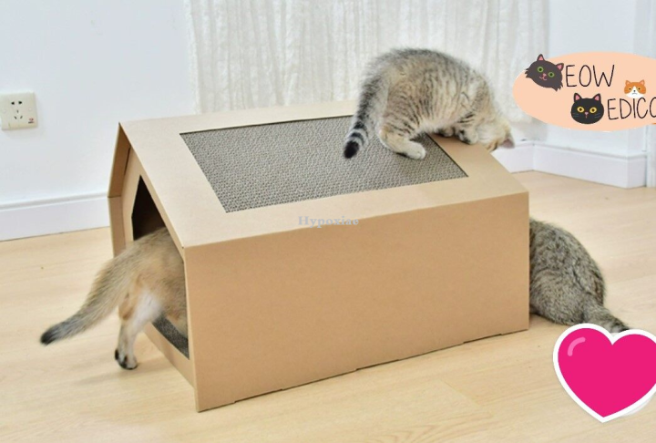 Hypoxiae%20*READY%20STOCK*Large%20Cat%20House%20/MultiPurpose%20Cat%20Scratcher%20House/Scratch%20Board/Rumah%20Kucing%20/Cat%20House%20Box%E7%8C%AB%E6%8A%93%E6%9D%BF%E7%8C%AB%E5%B1%8B%20-%20Image%207