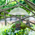 2 Pack Bird Feeders Protective Cover Dome Protective Dome for Hanging Bird Feeders for Garden. 