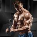 LAT Pulldown Bar Attachments, Cable hine Accessories for Home Gym. 
