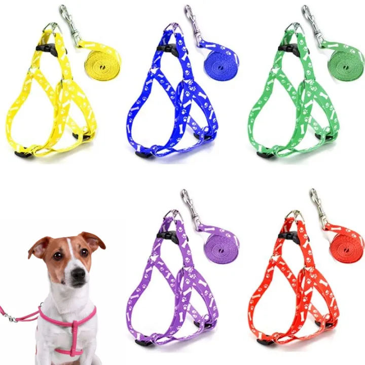 Small%20Adjustable%20Dog%20Harness%20and%20Outdoor%20Walking%20Nylon%20Dog%20Leash%20Lead%20Pets%20Dog%20Sale%20Durable%20Traction%20Training%20Rope%20Dog%20Belt%20Dog%20Chain%20Dog%20Body%20Belt%20Chest%20Belt%20Step-in%20Harness%20Strap%20Stainless%20Steel%20Metal%20Buckle%20Plastic%20Clasp%20Dog%20Collar%20Dog%20Strap%20Dogs%20Belt%20-%20Image%209