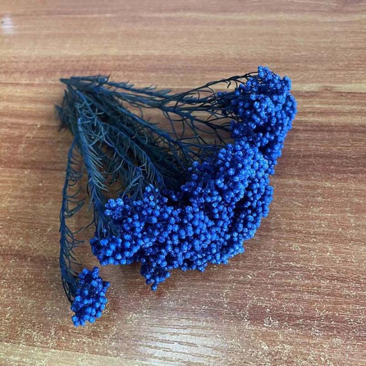 5~15CM/12PCS%20Natural%20Dried%20Preserved%20Millet%20Flower,Dry%20Tiny%20Ozothamnus%20Diosmifolius%20Flowers%20DIY%20For%20Candle%20Making%20Supplies,Resin%20-%20Image%207