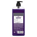 Lux Body Wash Fragrant Skin Black Orchid Scent & Juniper Oil SuperSaver XL Pump Bottle with Long Lasting Fragrance, Glycerine, Paraben Free, Extra Foam, 750 ml SAM. 