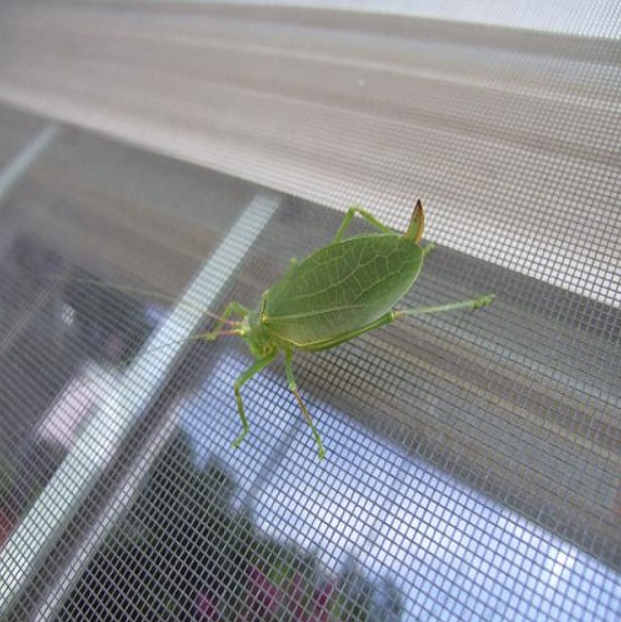 Insect%20Proof%20Net%20Greenhouse%20Polytunnel%2040*40%20mesh%20Insertproof%20UV%20Protected%20Long%20Durable%20-%20Image%205