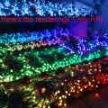 200Pcs WS2811 LED Pixel Light String Advertising Pouring Waterproof Full Color Perforated Light 12mm DC 5V. 