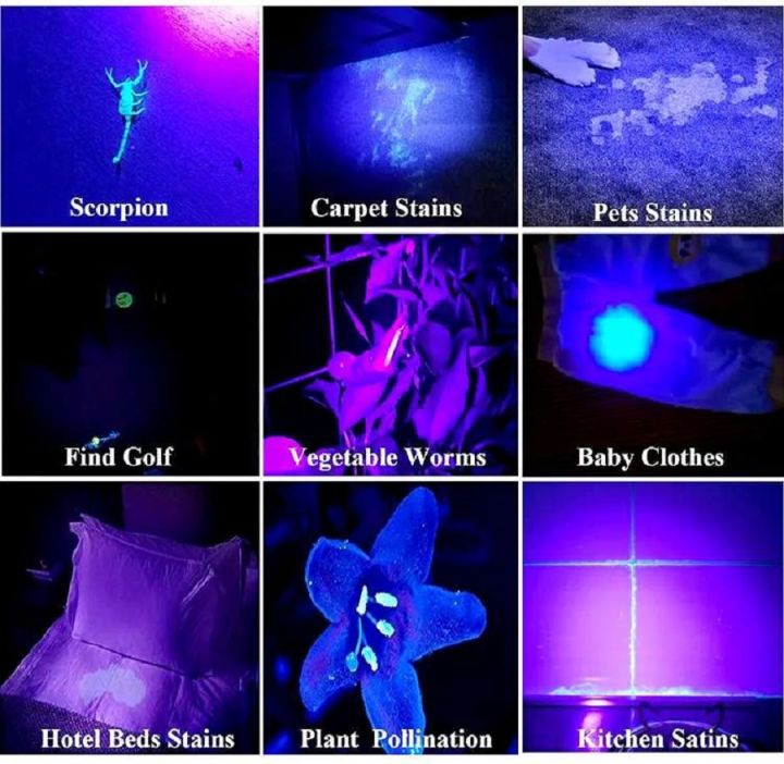 UV%20Flashlight%20Purple%20Lamp%20395nm%20Ultraviolet%20Torch%20Zoom%20Flashlight%20Detection%20Lighting%20Lamp%20for%20Pet%20Fungus%20Stains%20Hunting%20Manicure%20-%20Image%206