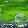 Glass Crafts Transparent Home Decoration Aquarium Decoration Hydroponics Vase Wall Hanging Fish Tank Fish Bowl Vase Ornament Hanging Glass Fish Bowl. 