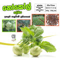 Knol Khol Local Seeds 0.2g Home Gardening Agriculture. 