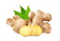 100% Fresh Ginger  1Kg. 