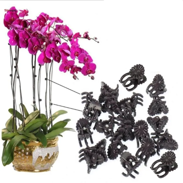 30%20Pieces%20Flower%20Clips,%20Vine%20Clamp%20Plant%20Support,%20Butterfly%20Orchid%20Clips%20Accessories%20Tools,%20Garden%20Plant%20Clips%20for%20Bouquets%20Stems%20Cucumbers%20-%20Image%205