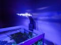 Ultrathin LED clip on lamp,duel colour lamp, 3W suitable for all kind of fish tank,terrarium tanks, planted tanks.. 
