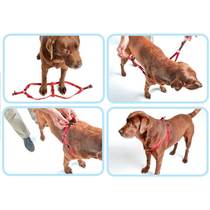 Small%20Adjustable%20Reflective%20Dog%20Harness%20Outdoor%20Walking%20Nylon%20Dog%20Leash%20Lead%20Pets%20Dog%20Sale%20Durable%20Traction%20Training%20Rope%20Dog%20Belt%20Dog%20Chain%20Dog%20Body%20Belt%20Chest%20Belt%20Step-in%20Harness%20Strap%20Stainless%20Steel%20Plastic%20Buckle%20Clasp%20Dog%20Collar%20Dog%20Strap%20Dogs%20Belt%20-%20Image%206