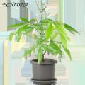 Plant Support Poles Adjustable Plant Support Pole Stake for Stable Indoor Potted Plants Prevent Falling Windproof Southeast Asian Buyers' Choice Plant Climing Holders. 