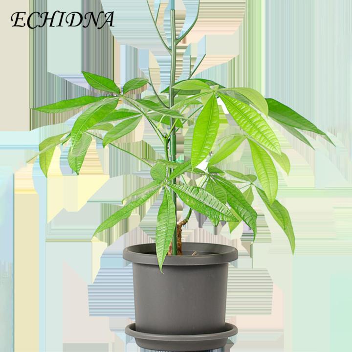 Plant%20Support%20Poles%20Adjustable%20Plant%20Support%20Pole%20Stake%20for%20Stable%20Indoor%20Potted%20Plants%20Prevent%20Falling%20Windproof%20Southeast%20Asian%20Buyers'%20Choice%20Plant%20Climing%20Holders%20-%20Image%209