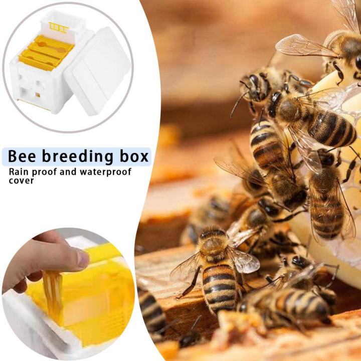 1/2/3pcs%20Beehive%20Beekeeping%20King%20Box%20Foam%20Home%20Bee%20Hive%20Pollination%20Boxes%20Harvest%20Bee%20Hive%20Beekeeper%20Mating%20Accessories%20-%20Image%202