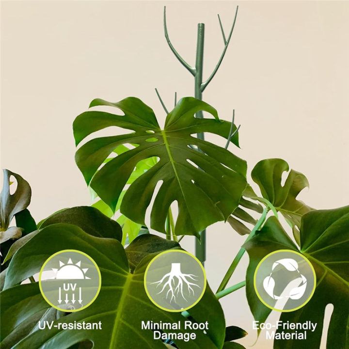 Monstera%20Plant%20Support%20Clips%20Ties%20Set%20Plant%20Support%20Stakes%20Moss%20Pole%20for%20Indoor%20Plants%20Green%20-%20Image%202
