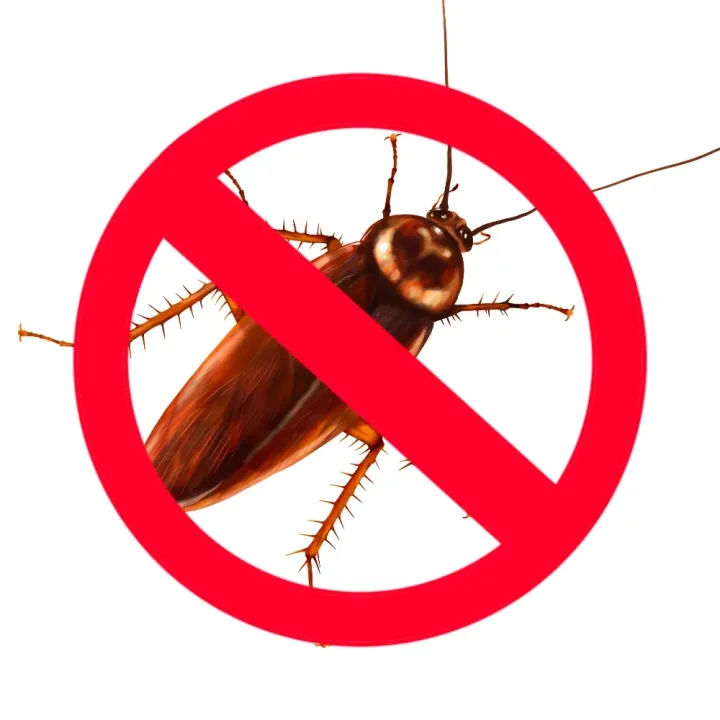 Powerful%20Cockroach%20Killer%20Chalk%20Instant%20Insecticide%20for%20Cockroaches%20Ants%20&%20Bedbugs%20Safe%20Pest%20Control%20for%20Home,%20Kitchen%20&%20Bathroom%20-%20Image%202