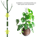Monstera Plant Support Clips Ties Set Plant Support Stakes Moss Pole for Indoor Plants Green. 