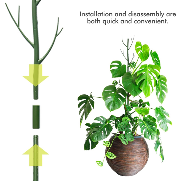 Monstera%20Plant%20Support%20Clips%20Ties%20Set%20Plant%20Support%20Stakes%20Moss%20Pole%20for%20Indoor%20Plants%20Green%20-%20Image%206