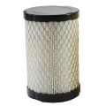 591334 796031 Air Filter For 594201 & Stratton,Spark Plug Set. 