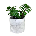 Ceramic Pot / Flower pot / Indoor plant Pots / Cactus and succulent planters / CP10. 