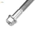 M6 Titanium Hex Head Flange Bolt Fastener M6 x 10-65 M6 x 50. 