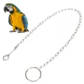 safe stainlesssteel foot chain training for parrot rust-proof large parrots alexander dove grey golden sun keck. 